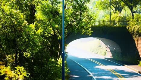 arch bridge with living bush branches in park