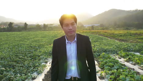 asian business man walking in melon field with sunset
