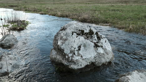 static shot of a clean and drinkable mountain stream with aquatic plants