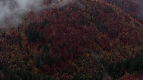 El-Dron-Se-Levanta-Y-Se-Desplaza-Sobre-La-Escena-Del-Bosque-Otoñal.