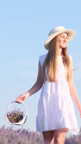 A Beautiful Video of a Slender Young Woman in White Walking Amidst Lavender against a Beautiful Sky a Beautiful Video of a Slender Young Woman in White Walking Amidst Lavender against a Beautiful Blue Sky Shooting in Provence Advertising Shooting