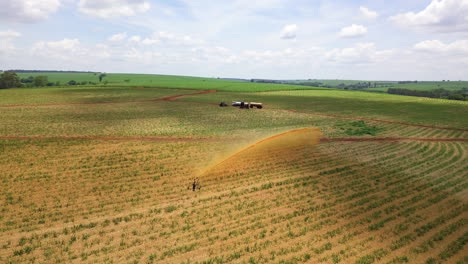 Machine-fertilizing-sugar-cane-plantation-with-liquid-fertilizer,-in-the-background-we-see-several-tractors,-more-sugar-cane-plantation-and-a-beautiful-blue-sky