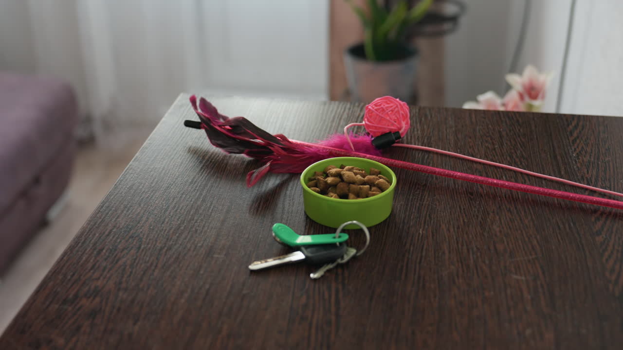 Wellorganized Area With Pet Toys And Accessories, Neatly Arranged Zone Dedicated To Animals And Their Toys And Gear, Carefully Arranged Space Showcasing Various Toys And Accessories For Pets