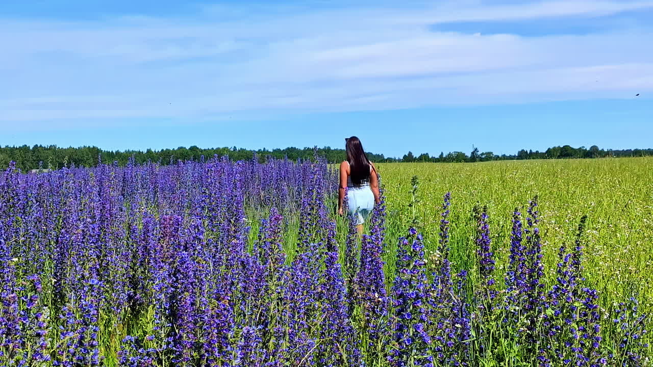 disparo trasero de mujeres con la mitad de la manga arriba caminando por el campo con flores de lavanda durante el día