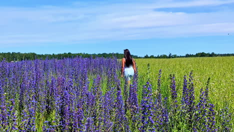 disparo trasero de mujeres con la mitad de la manga arriba caminando por el campo con flores de lavanda durante el día