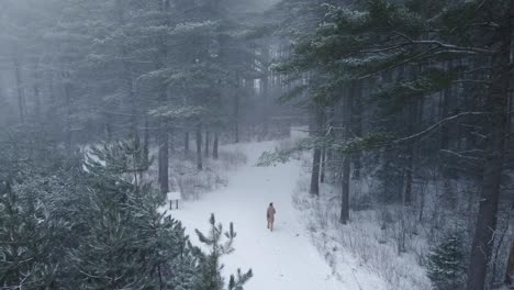 establishing drone shot of a young women walking into a pine forest during a snowstorm in rural canada