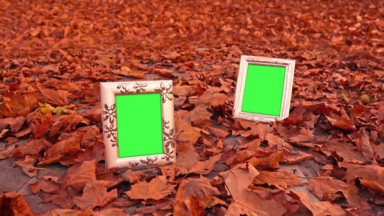 Golden photo frames with chromakey standing on dry leaves