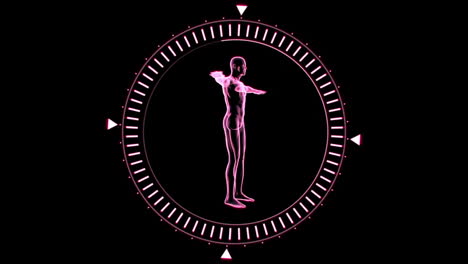 figura giratoria de hombre hombre en círculo de dial en movimiento