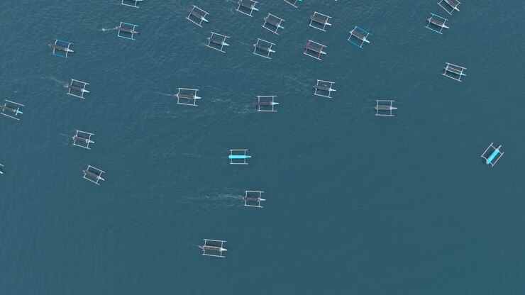 Amazing aerial top view of many traditional balinese jukung boats gathering in the ocean for a dolphin watching tour at lovina beach, bali