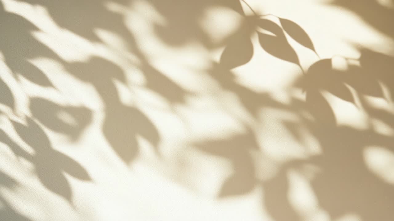 Soft, blurred shadows of leaves create a serene, natural pattern