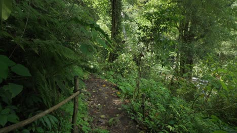 female backpacker hike on remote dirt trail through lush green jungle