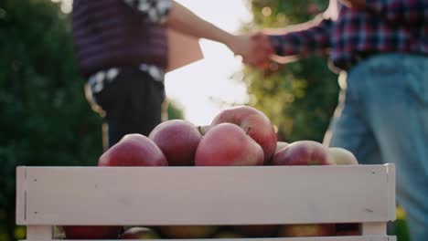 vista en mano de una caja llena de manzanas y agricultores en el fondo