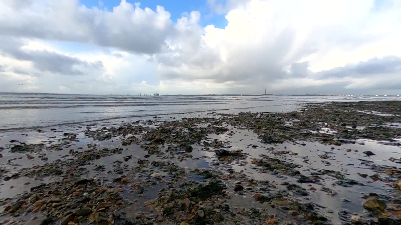 Paesaggio marino roccioso britannico con uccelli che corrono lungo la spiaggia con la bassa marea