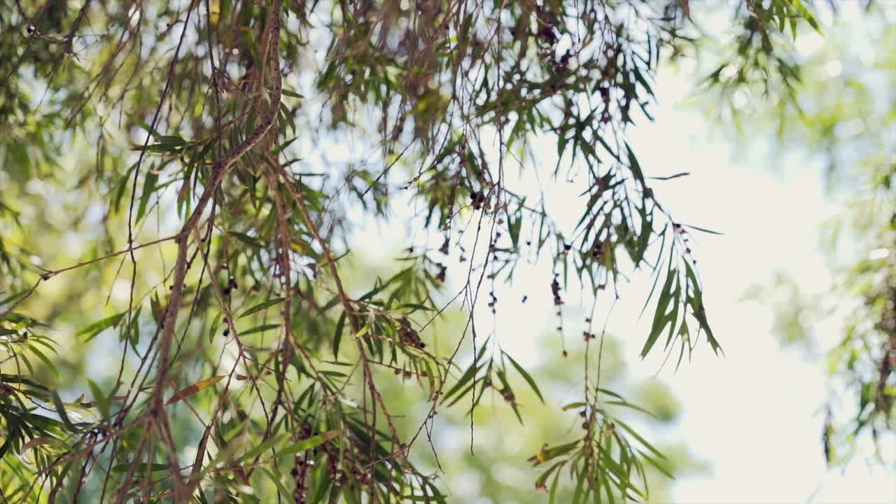 suave brisa en medio de la calle de la ciudad