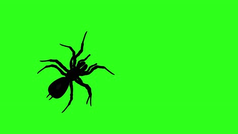 arañas con siluetas que se arrastran sobre un fondo verde