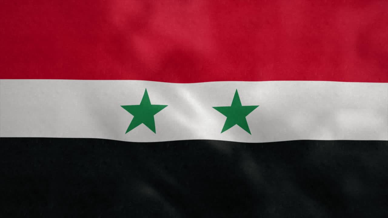 National flag of Syria blowing in the wind. Seamless loop