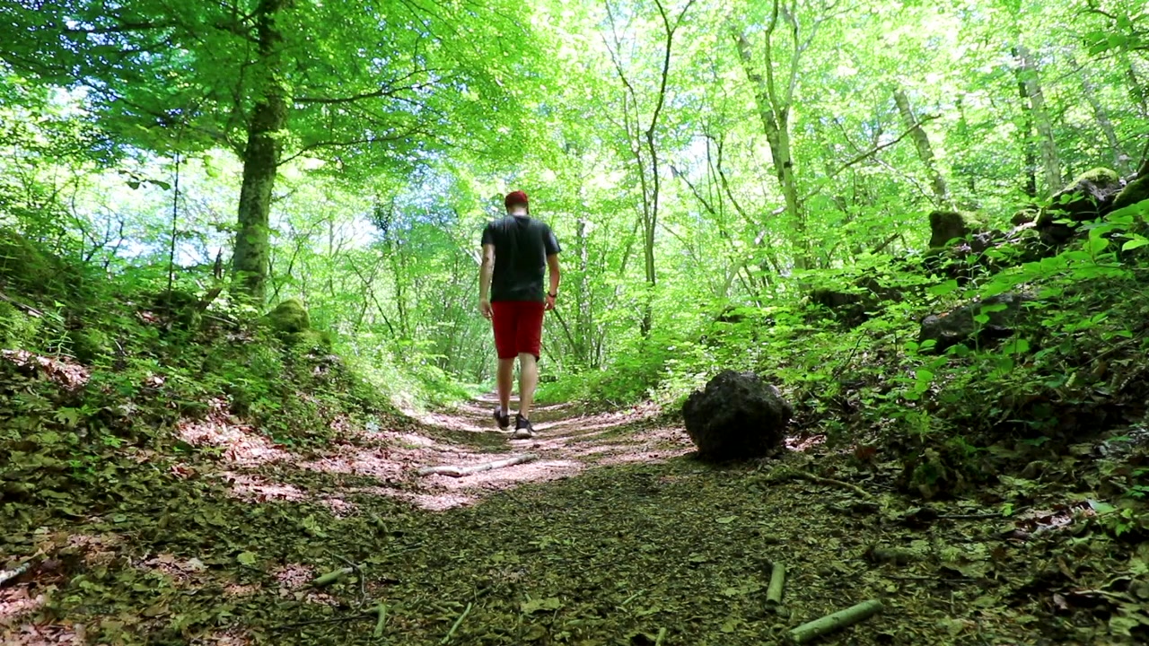 Uomo cammina casualmente lungo un sentiero nel bosco, angolazione bassa statica