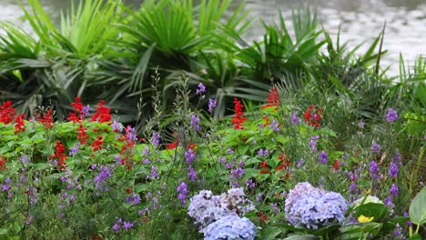 lapso de tiempo de las flores que florecen en un jardín