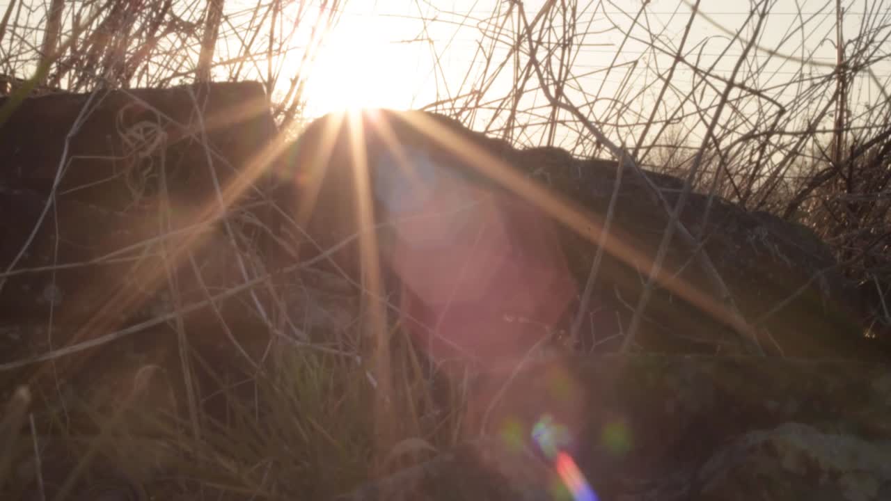 Stone wall rocks and soil in a sunset close up