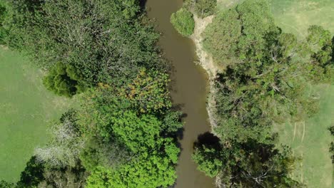 El-Arroyo-Australiano-Se-Encuentra-Con-El-Río,-Las-Aguas-De-Inundación-Marrones-Después-De-La-Lluvia,-El-Día-De-Verano-En-La-Tierra-De-Los-Arbustos