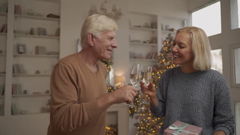 Pareja-De-Ancianos-Románticos-Celebrando-La-Navidad-Juntos