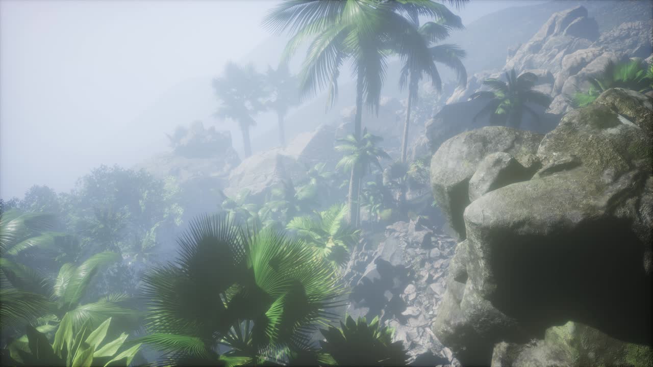 los rayos del atardecer a través de las palmeras