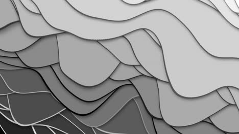 Black-white waves