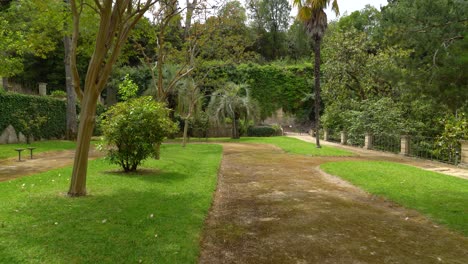 vegetación con palmeras y pasto corto en el jardín botánico de la universidad de coimbra