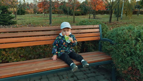 cute toddler boy in jacket and cap sits on the bench in autumn park. kid drinks juice from doypack.