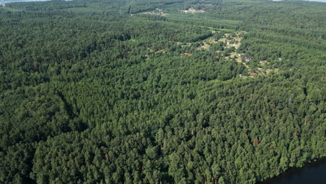 aerial view of a forest with a village nestled within