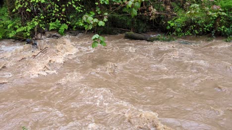 Schlammiger-Fluss,-Der-Nach-Starken-Regenfällen-über-Die-Ufer-Tritt,-Mit-Totholz-Und-Erodierendem-Flussufer