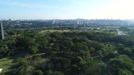 無人機拍攝的影片顯示在公共公園中間的植被, 有豐富的自然, 運動, 休<unk>, 健康, 在4分辨率