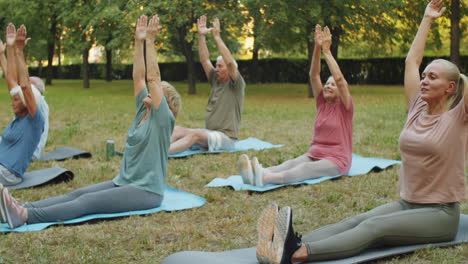 elderly people stretching in park at outdoor yoga class