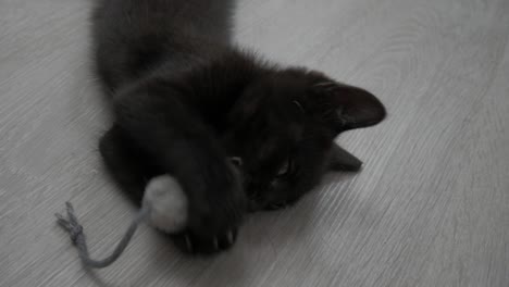 black kitten playing with plush mouse