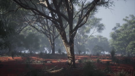 Coastal vegetation with trees and shrubs