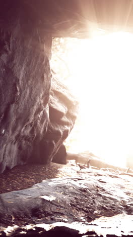 la luz del sol fluye a través de la entrada de una cueva