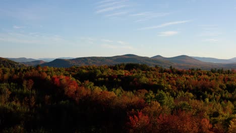 aerial flyover of beautiful forest landscape during peak fall colors