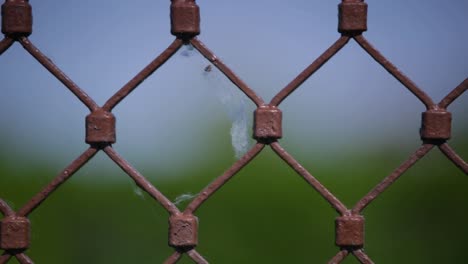 Telaraña-En-Una-Cerca-Marrón-En-El-Lago-Balaton,-Hungría,-Europa-Grabada-Con-Un-Canon-6d-2