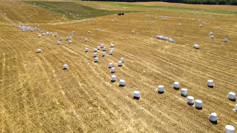 rural field with hay rolls