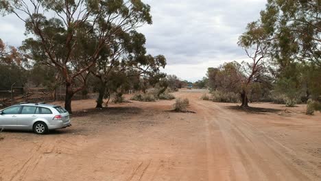 flying between trees in the outback of australia