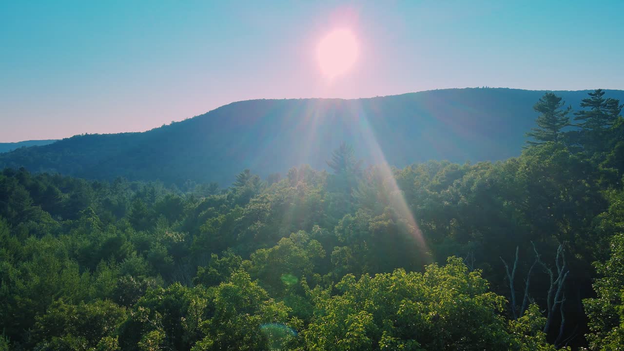 Aerial drone footage of a sweeping pine forest vista in the Appalachian Mountains. This is in New York's Hudson Valley during summer in the Catskill Mountain sub-range