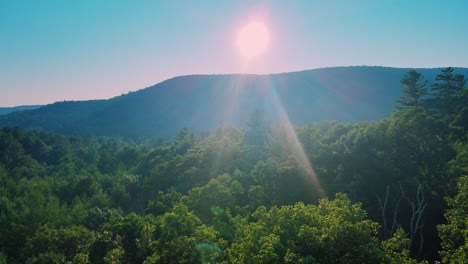 aerial drone footage of a sweeping pine forest vista in the appalachian mountains. this is in new york's hudson valley during summer in the catskill mountain sub-range