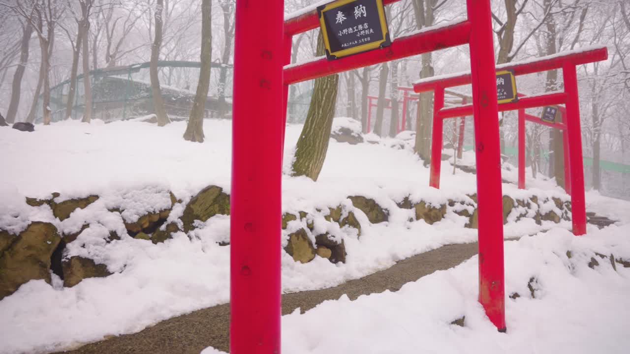 las puertas rojas de torii en la nieve en kitsune mura, aldea de zorros en miyagi, japón