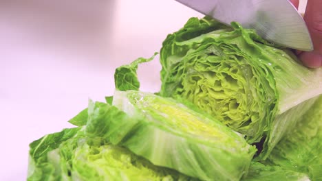 chef cutting chinese cabbage in kitchen