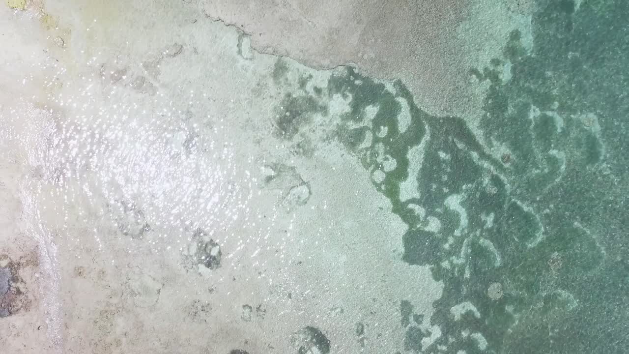 아름다운 산호초는 즉각적인 휴가 느낌을줍니다.