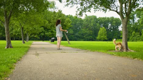 dog peeing on tree during walk at the park