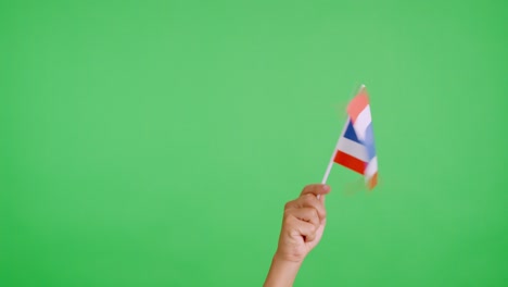 Hand waving a pennant of a thai national flag