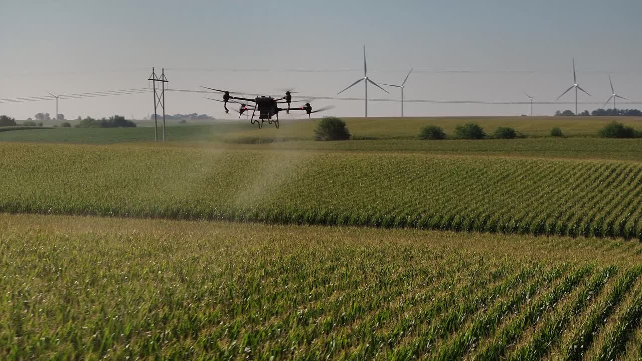 drones agrícolas rociando productos químicos en un campo de maíz en iowa en el verano
