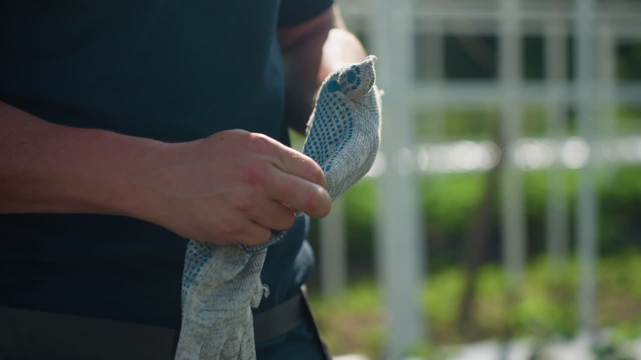 close up of man removing gloves with blurred greenhouse background, hands showing worn texture of fabric, sunlight highlighting forearms, moment of pause after gardening effort