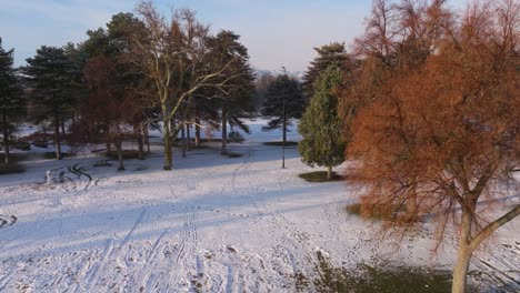 Drone-descends-past-leafless-trees-in-snow-covered-park-with-footsteps-and-tracks-across-the-ground